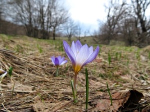 13-23 апреля - Поход по горам Крыма.